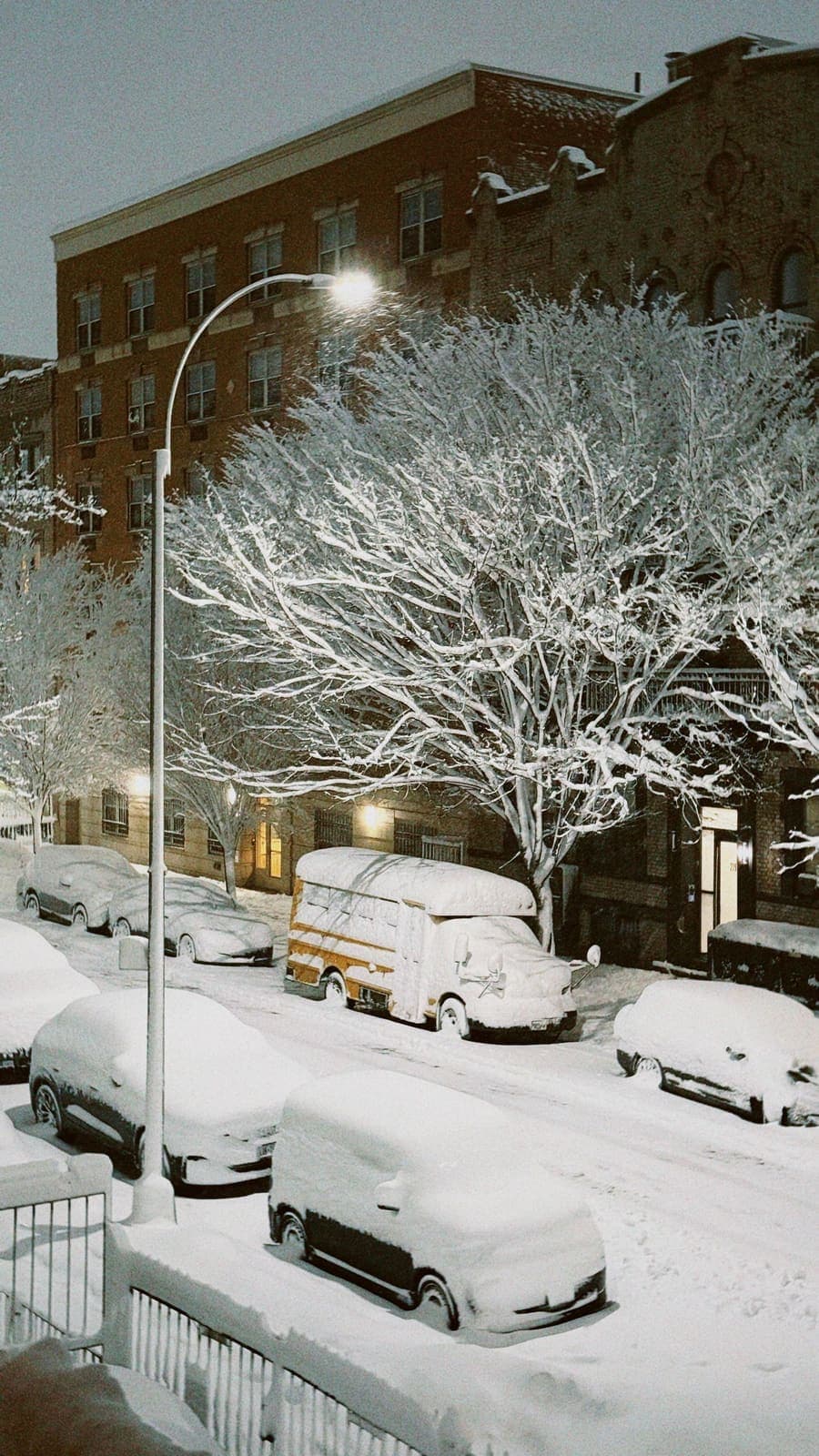 Snow-covered New York street and trees at night